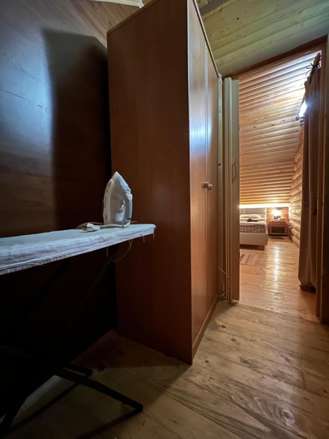 Forest House * Skhidnytsia